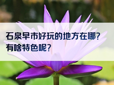 石泉早市好玩的地方在哪？有啥特色呢？