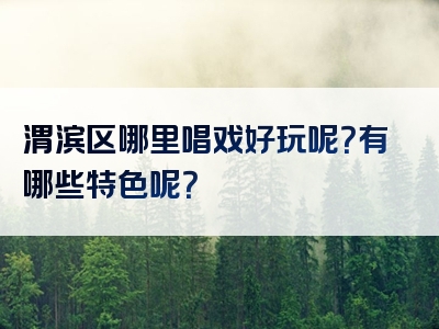 渭滨区哪里唱戏好玩呢？有哪些特色呢？