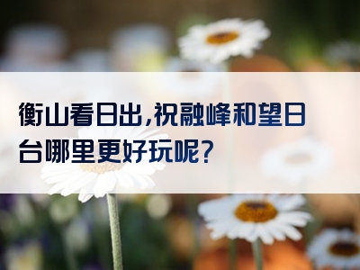 衡山看日出，祝融峰和望日台哪里更好玩呢？