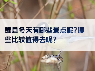 魏县冬天有哪些景点呢？哪些比较值得去呢？