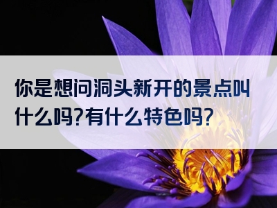 你是想问洞头新开的景点叫什么吗？有什么特色吗？