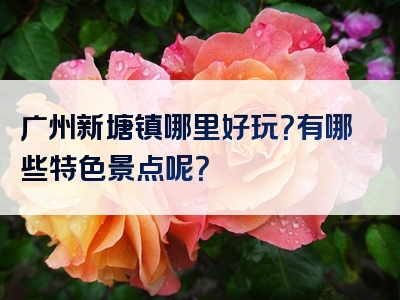 广州新塘镇哪里好玩？有哪些特色景点呢？