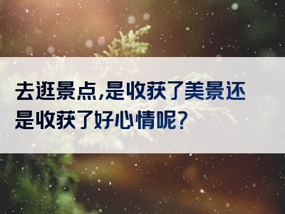 去逛景点，是收获了美景还是收获了好心情呢？