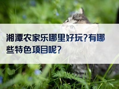 湘潭农家乐哪里好玩？有哪些特色项目呢？
