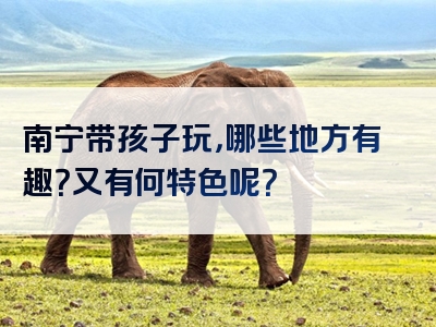 南宁带孩子玩，哪些地方有趣？又有何特色呢？
