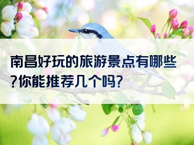 南昌好玩的旅游景点有哪些？你能推荐几个吗？