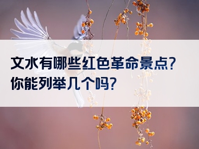 文水有哪些红色革命景点？你能列举几个吗？