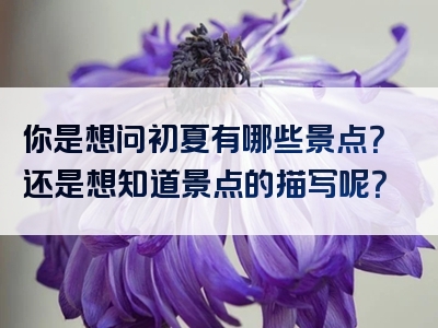 你是想问初夏有哪些景点？还是想知道景点的描写呢？