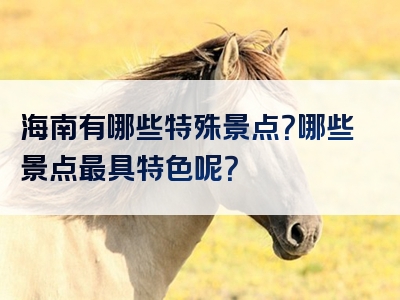 海南有哪些特殊景点？哪些景点最具特色呢？