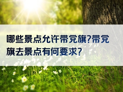 哪些景点允许带党旗？带党旗去景点有何要求？