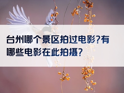 台州哪个景区拍过电影？有哪些电影在此拍摄？