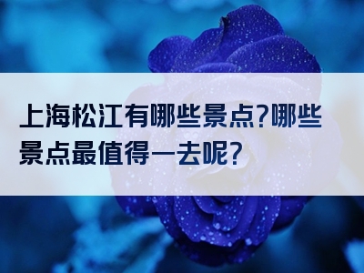 上海松江有哪些景点？哪些景点最值得一去呢？