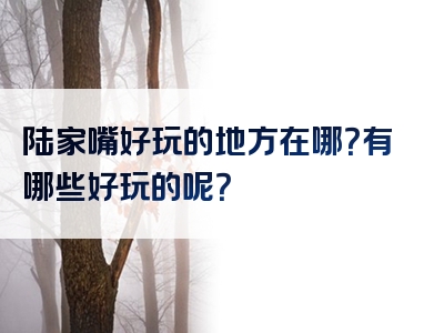 陆家嘴好玩的地方在哪？有哪些好玩的呢？