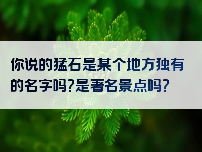 你说的猛石是某个地方独有的名字吗？是著名景点吗？