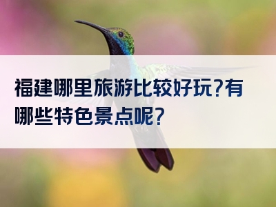 福建哪里旅游比较好玩？有哪些特色景点呢？