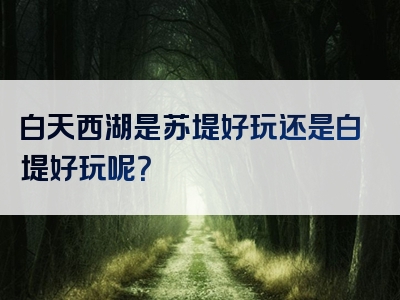 白天西湖是苏堤好玩还是白堤好玩呢？