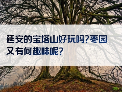 延安的宝塔山好玩吗？枣园又有何趣味呢？