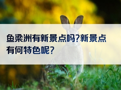 鱼梁洲有新景点吗？新景点有何特色呢？