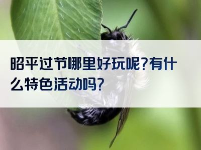 昭平过节哪里好玩呢？有什么特色活动吗？