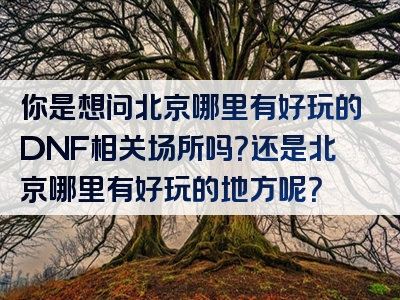 你是想问北京哪里有好玩的DNF相关场所吗？还是北京哪里有好玩的地方呢？