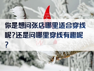 你是想问张店哪里适合穿线呢？还是问哪里穿线有趣呢？