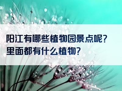 阳江有哪些植物园景点呢？里面都有什么植物？