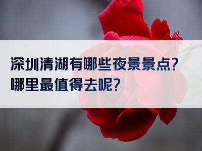 深圳清湖有哪些夜景景点？哪里最值得去呢？