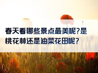 春天看哪些景点最美呢？是桃花林还是油菜花田呢？