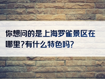 你想问的是上海罗雀景区在哪里？有什么特色吗？