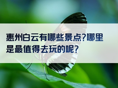 惠州白云有哪些景点？哪里是最值得去玩的呢？