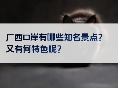 广西口岸有哪些知名景点？又有何特色呢？