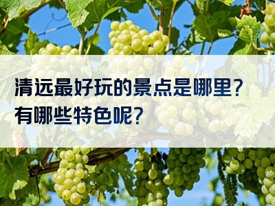 清远最好玩的景点是哪里？有哪些特色呢？