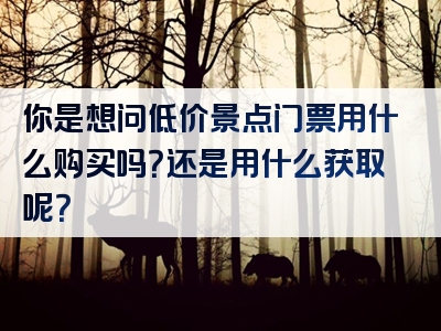 你是想问低价景点门票用什么购买吗？还是用什么获取呢？