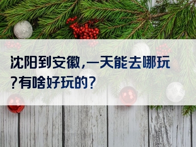 沈阳到安徽，一天能去哪玩？有啥好玩的？