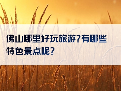 佛山哪里好玩旅游？有哪些特色景点呢？