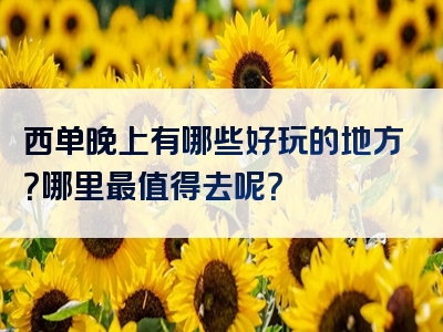 西单晚上有哪些好玩的地方？哪里最值得去呢？