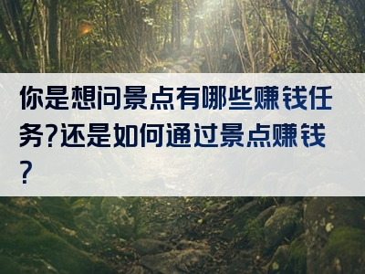 你是想问景点有哪些赚钱任务？还是如何通过景点赚钱？
