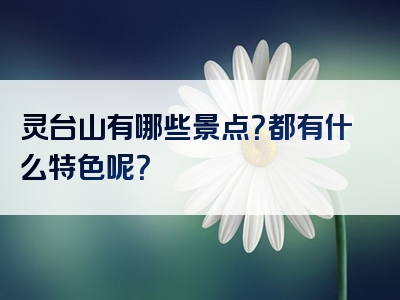 灵台山有哪些景点？都有什么特色呢？