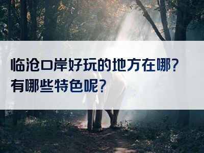临沧口岸好玩的地方在哪？有哪些特色呢？