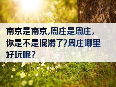 南京是南京，周庄是周庄，你是不是混淆了？周庄哪里好玩呢？