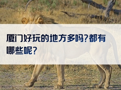 厦门好玩的地方多吗？都有哪些呢？