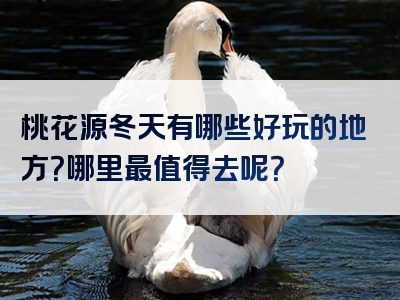 桃花源冬天有哪些好玩的地方？哪里最值得去呢？