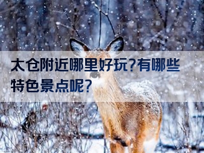 太仓附近哪里好玩？有哪些特色景点呢？