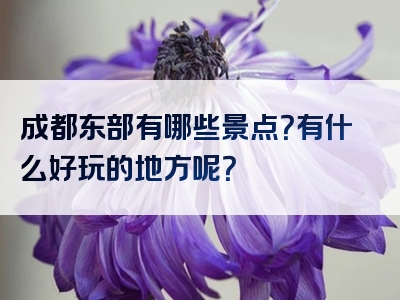 成都东部有哪些景点？有什么好玩的地方呢？