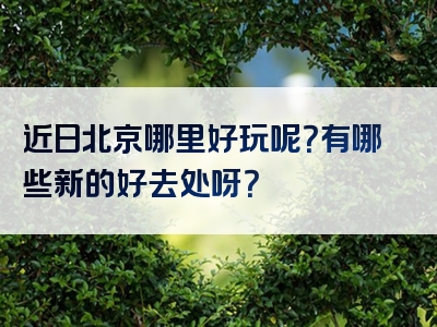 近日北京哪里好玩呢？有哪些新的好去处呀？
