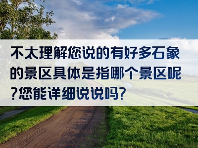 不太理解您说的有好多石象的景区具体是指哪个景区呢？您能详细说说吗？