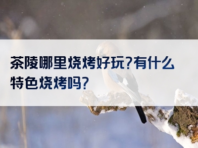 茶陵哪里烧烤好玩？有什么特色烧烤吗？