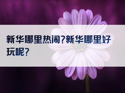 新华哪里热闹？新华哪里好玩呢？