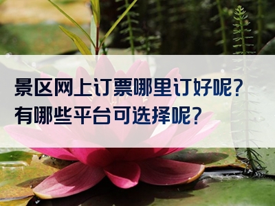 景区网上订票哪里订好呢？有哪些平台可选择呢？