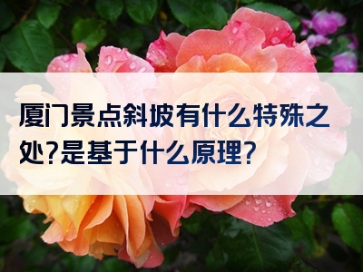 厦门景点斜坡有什么特殊之处？是基于什么原理？